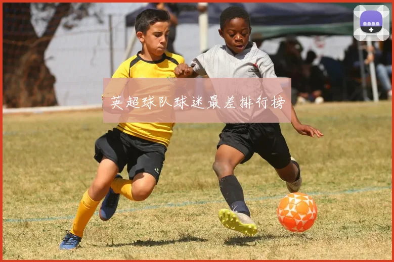 英超球队球迷最差排行榜
