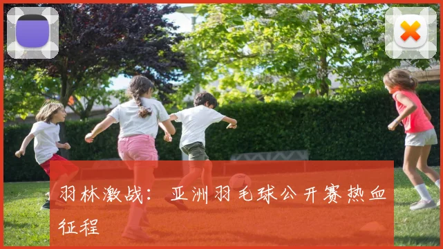 羽林激战：亚洲羽毛球公开赛热血征程