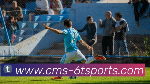 6T体育平台生态图