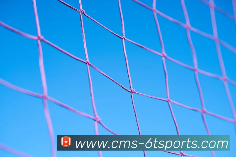 6T体育全站App 6T体育全站App